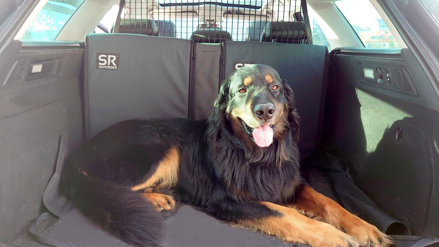 Saferider Protektor für den Hundetransport L