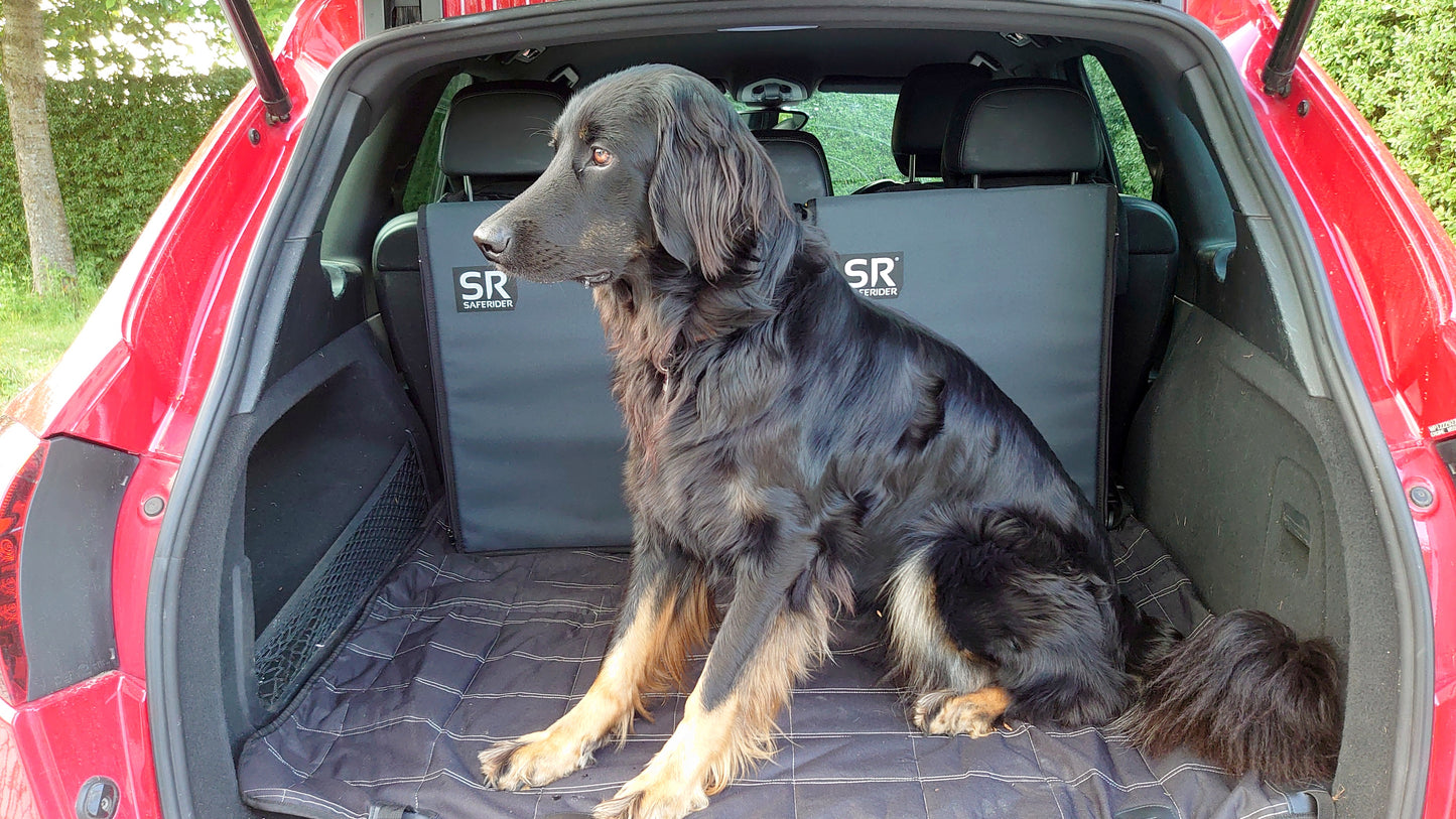 Saferider Protektor für den Hundetransport L