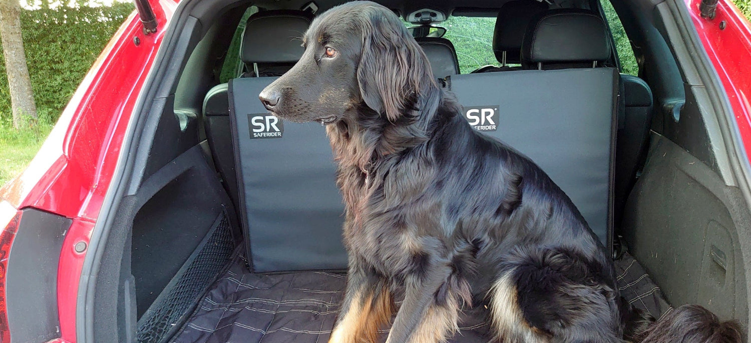Saferider im Porsche Cayenne