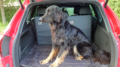 Saferider Protektor für den Hundetransport S
