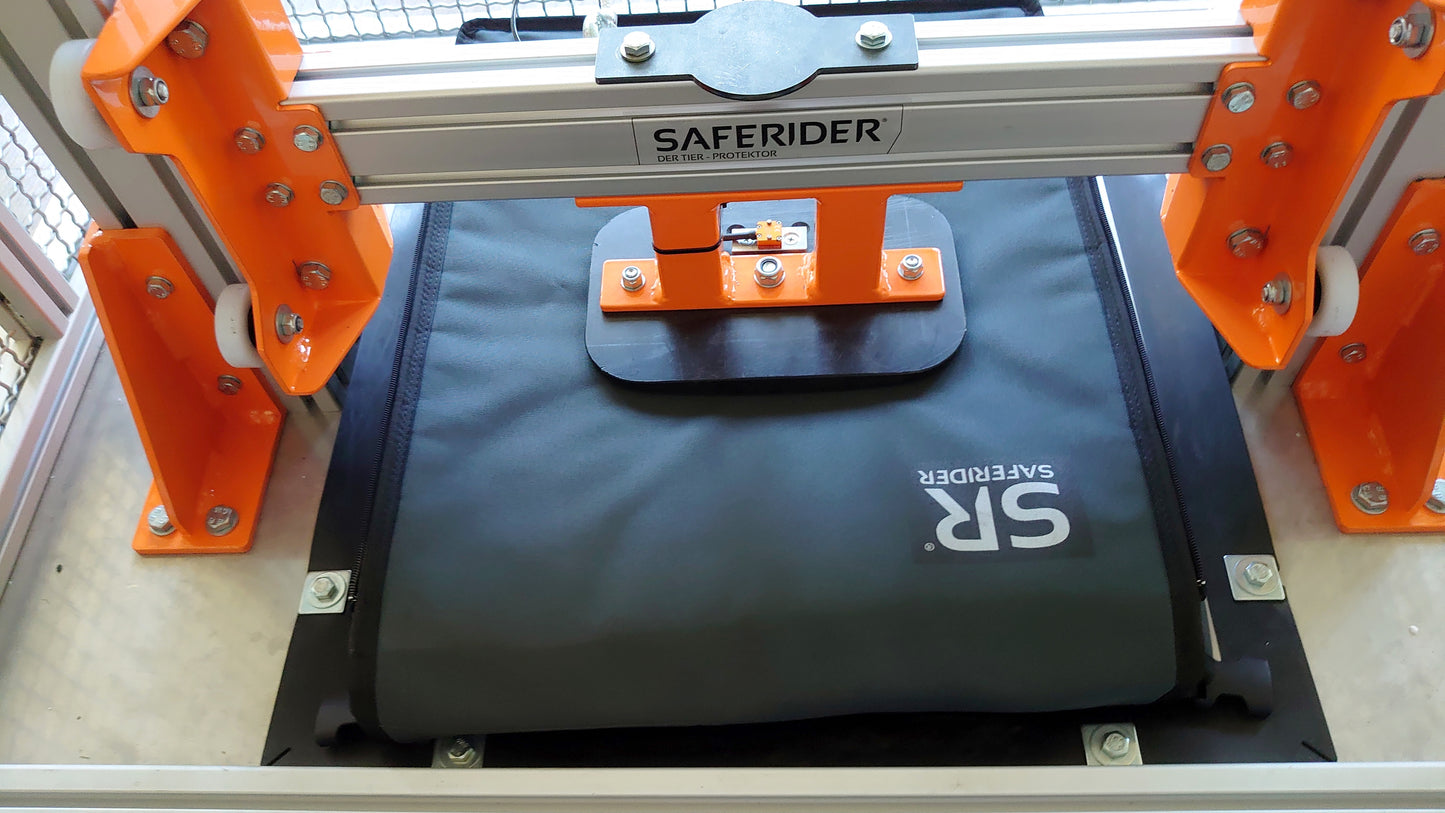 Saferider Protektor für den Hundetransport L