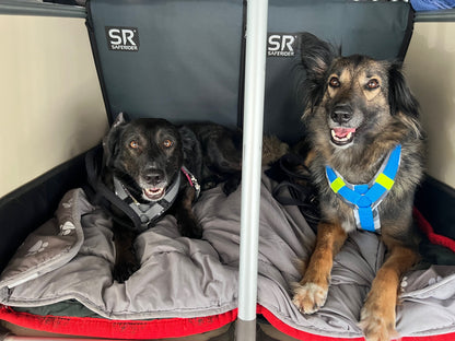 Saferider Protektor für den Hundetransport S